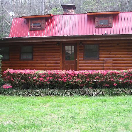 Buffalo Creek Bed And Breakfast Роббинсвилл Экстерьер фото