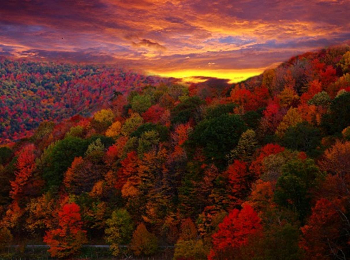 Buffalo Creek Bed And Breakfast Роббинсвилл Экстерьер фото
