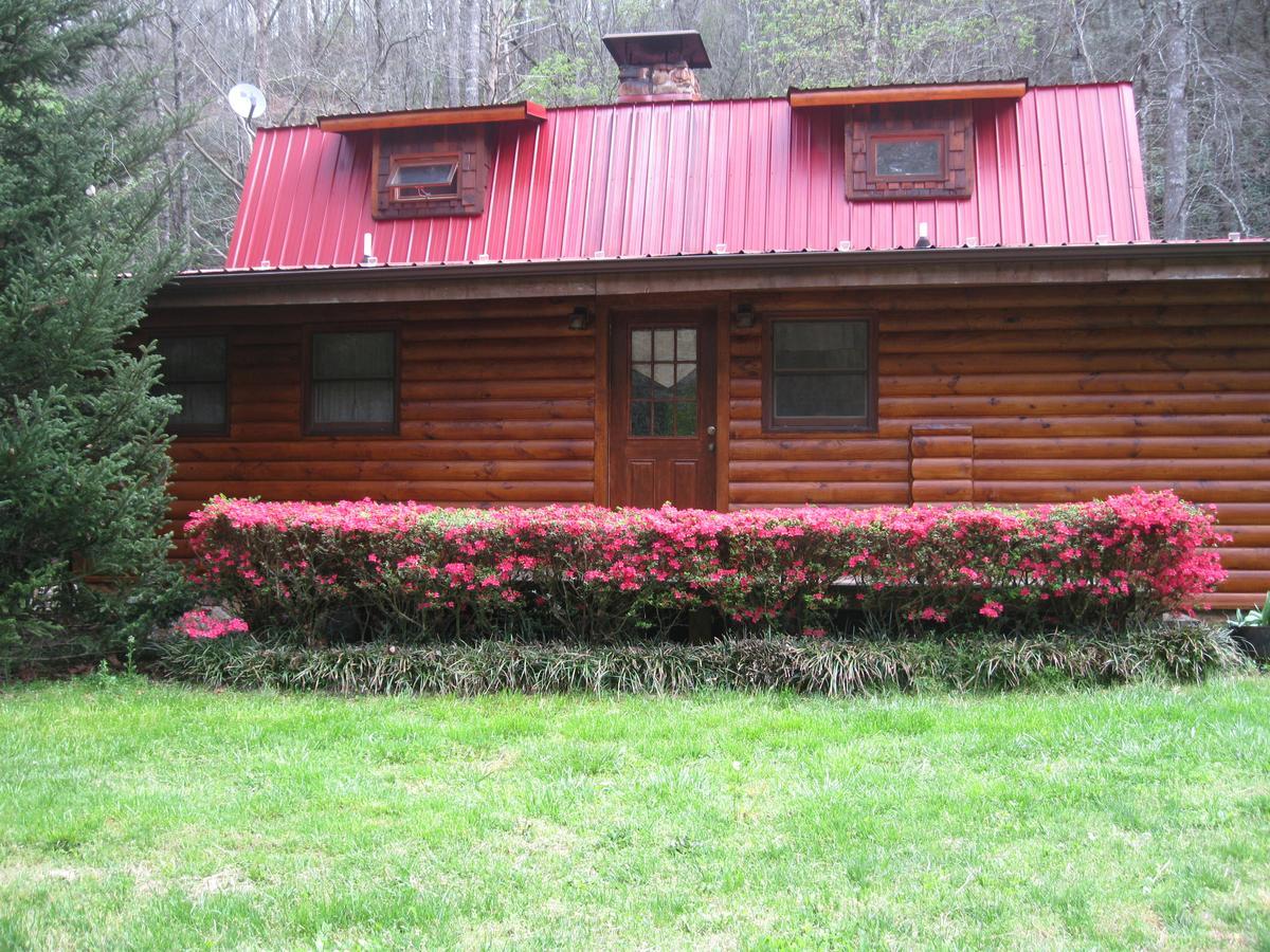 Buffalo Creek Bed And Breakfast Роббинсвилл Экстерьер фото