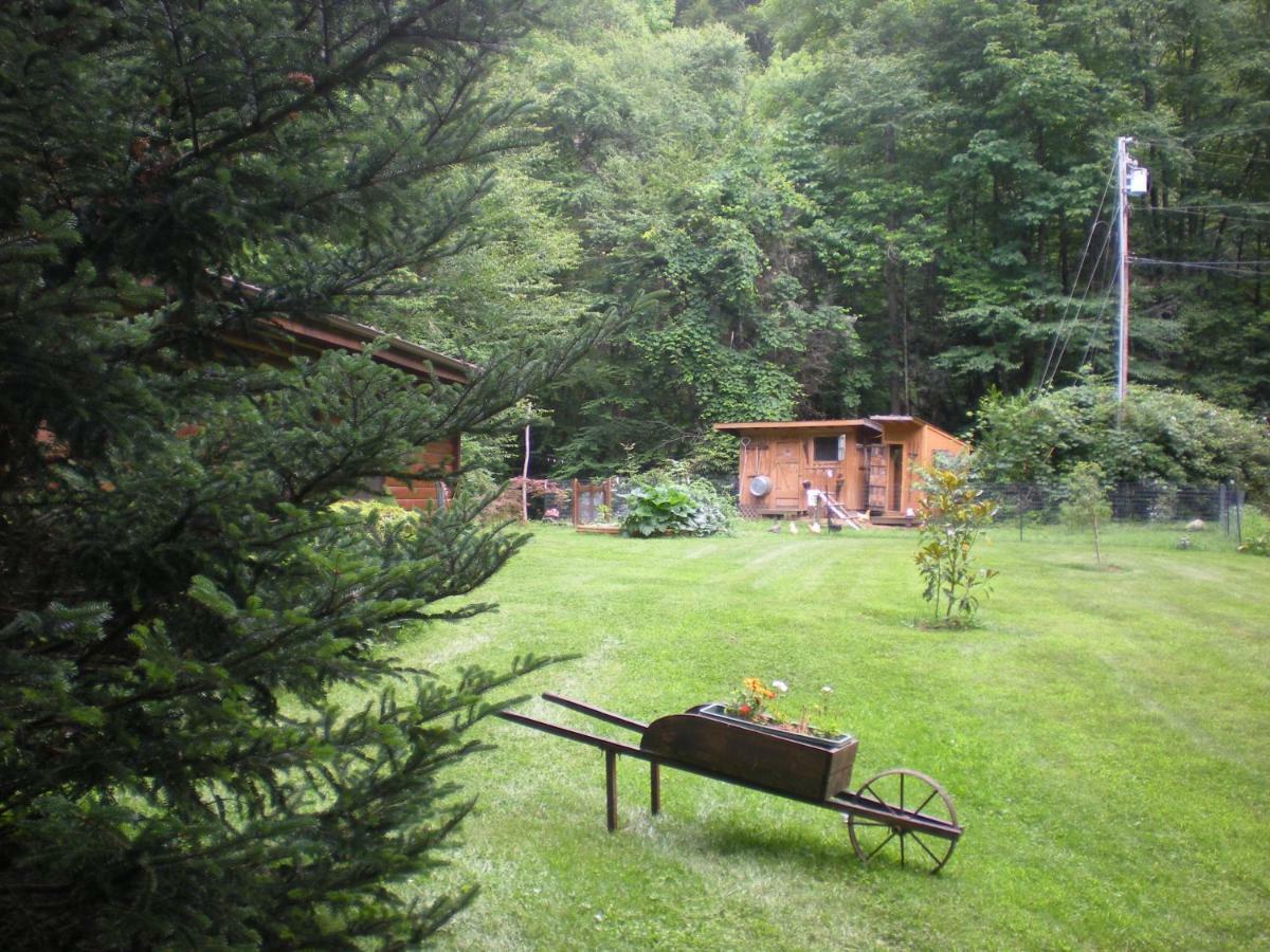 Buffalo Creek Bed And Breakfast Роббинсвилл Экстерьер фото